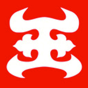 Kinguma Toys